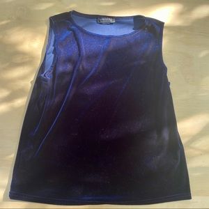 Vintage Blue Velvet Top